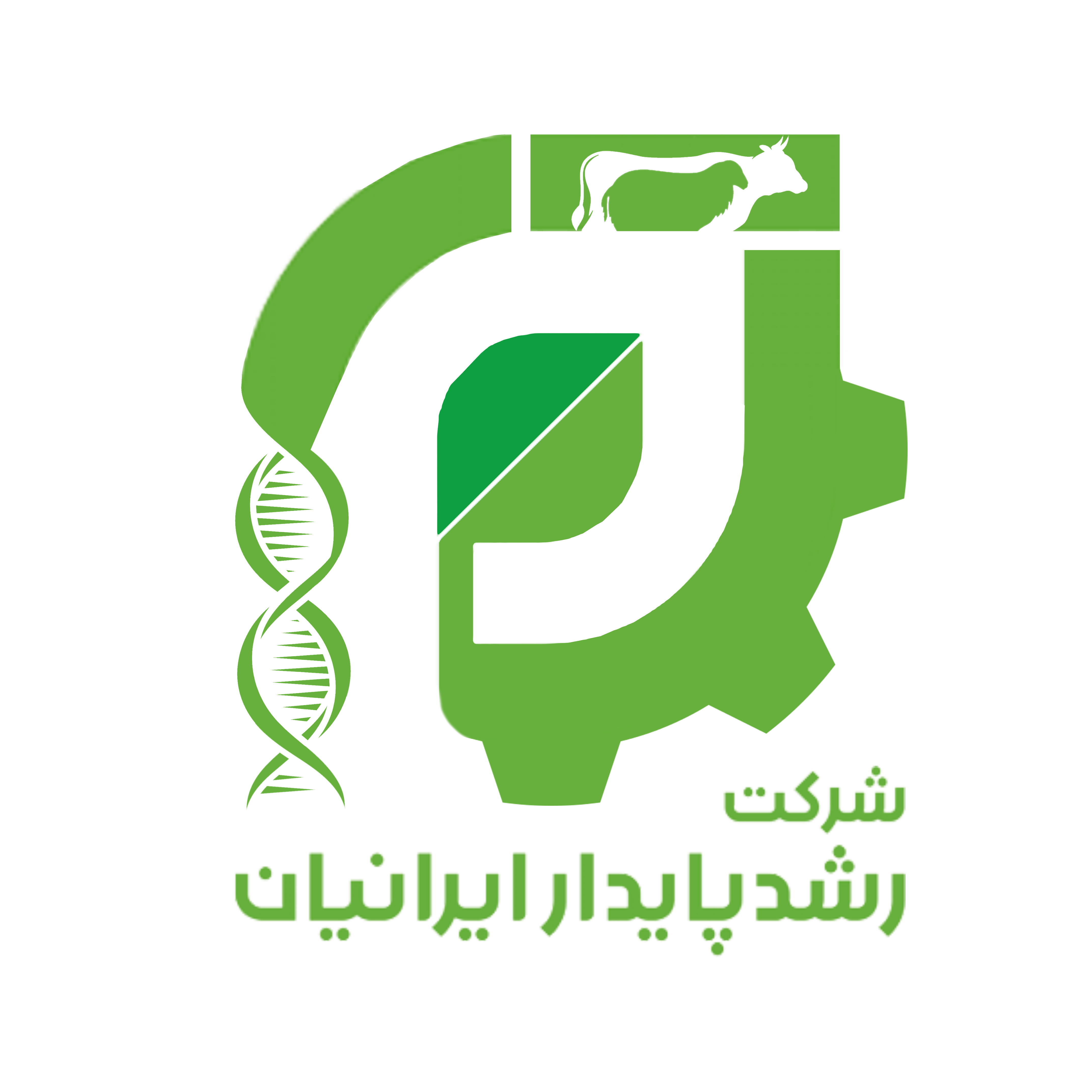 رشد پایدار ایرانیان